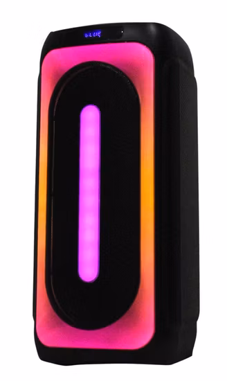 Sound System for Party Party Speaker Home Theater System DJ Portable Wireless PA Speaker Dual 8 Inch Trolley Bluetooth Speakers