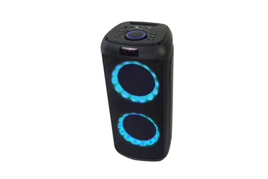 Private Model 6.5 Inch Audio Bluetooth Speaker with DSP Tws Function