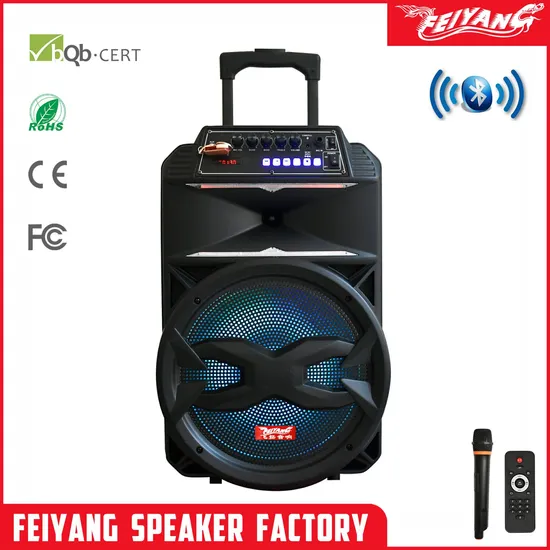 Feiyang Tws Parlante Active Trolley DJ Bluetooth Аудио Динамик Звуковая Коробка